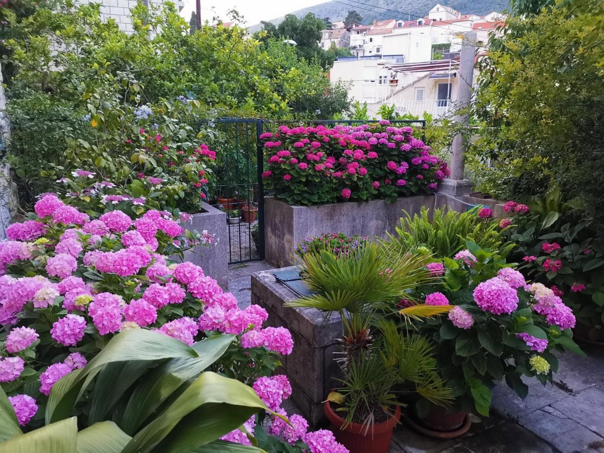 Apartments Sensa Dubrovnik Exterior foto
